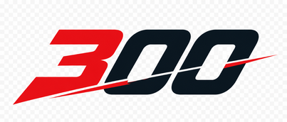 Logo 300